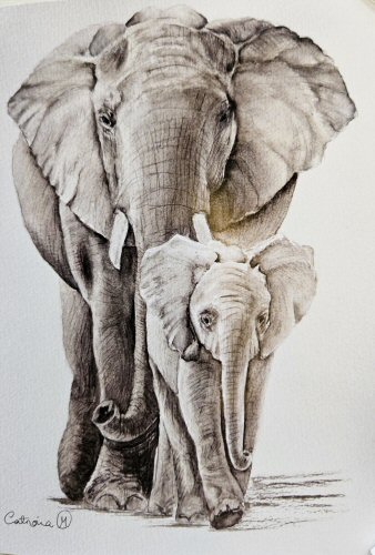 A Mother's Love by Catriona Mills