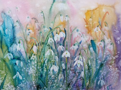 Snowdrops by Clifford D'Souza