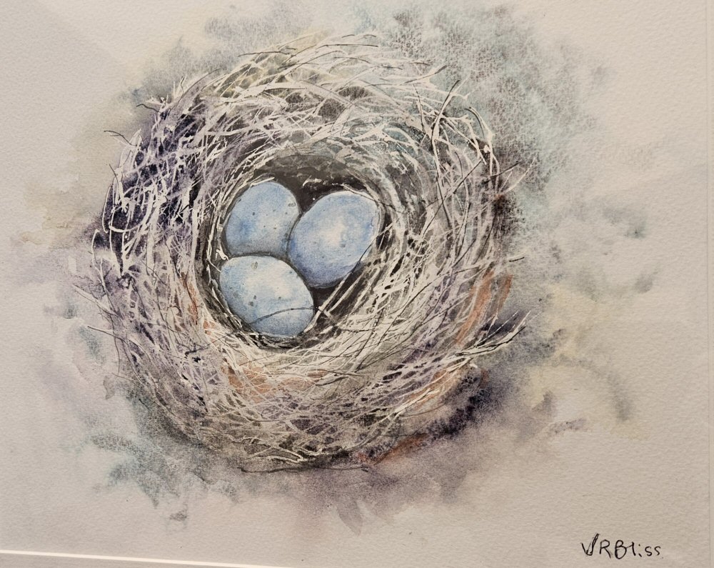 Best Watercolour - Bird's Nest by Veronica Bliss